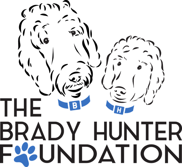 Hero Dog Awards Sponsor - The Brady Hunter Foundation